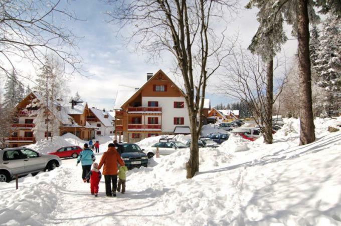 Antela, 142 m2 appartment for 12 person in Mariborsko Pohorje Hočko Pohorje Exteriör bild